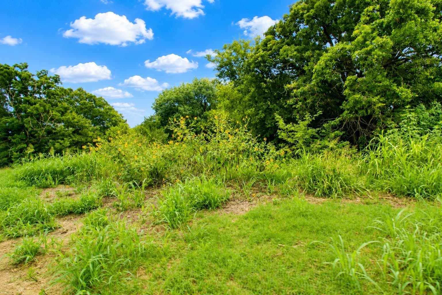 30.54 acres in Kaufman County - photo 12
