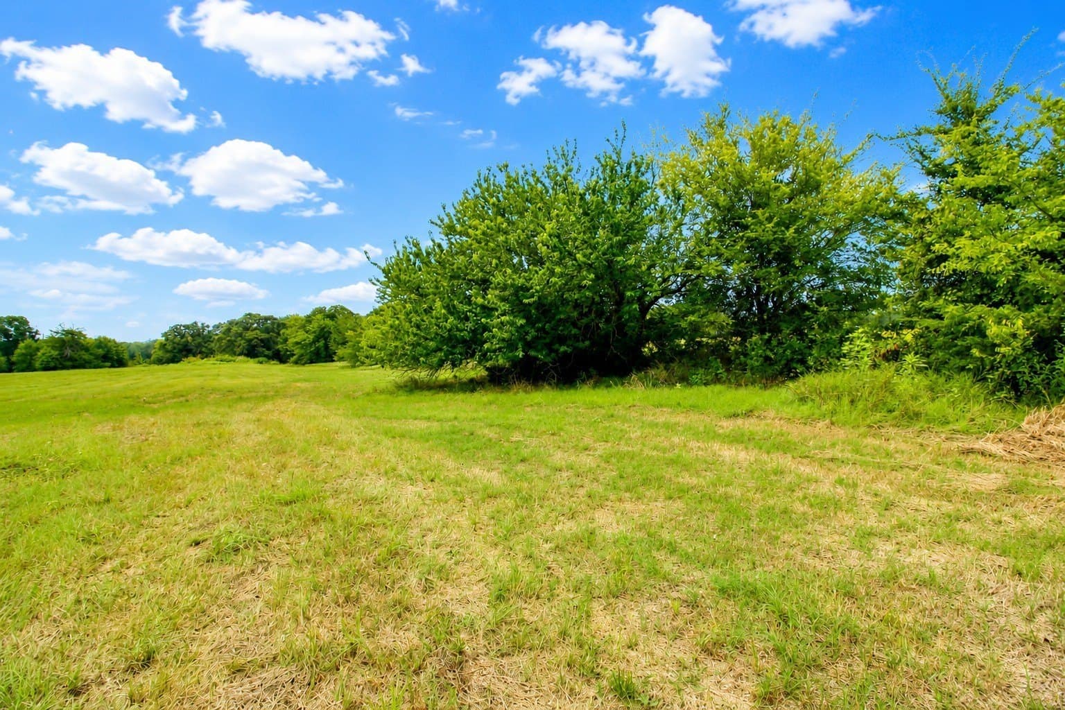 30.54 acres in Kaufman County - photo 14