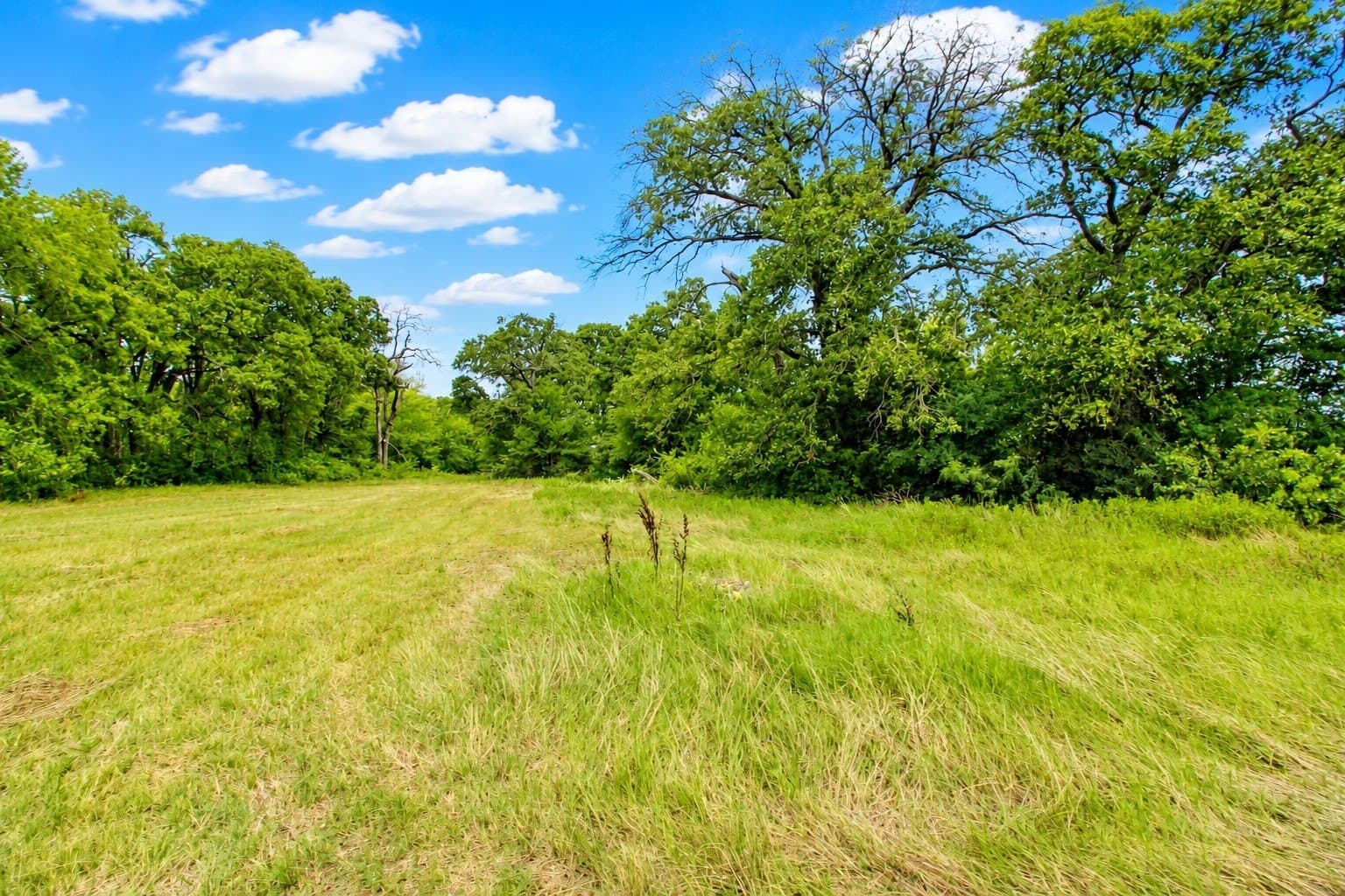 30.54 acres in Kaufman County - photo 6