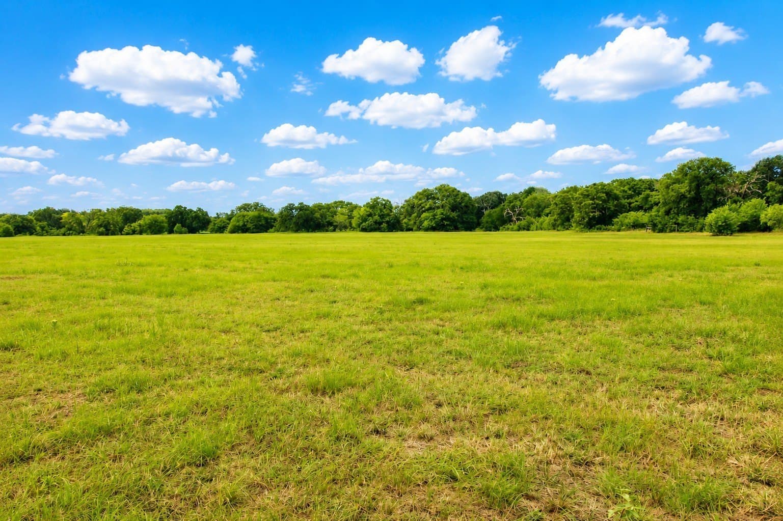 30.54 acres in Kaufman County - photo 17