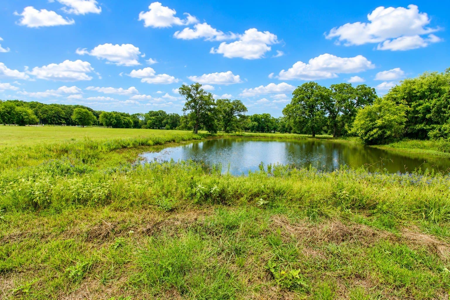 30.54 acres in Kaufman County gallery image 4