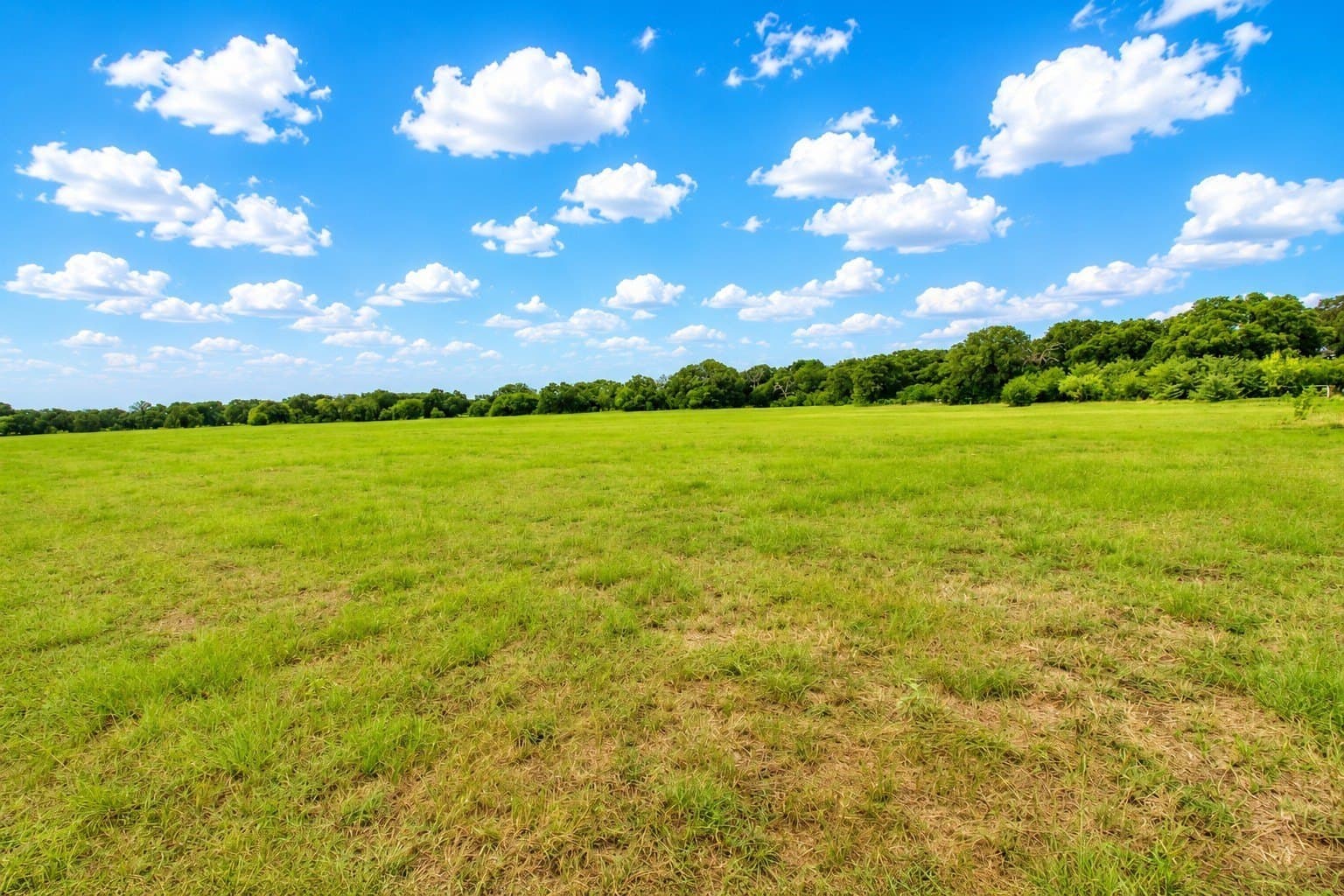30.54 acres in Kaufman County - photo 15