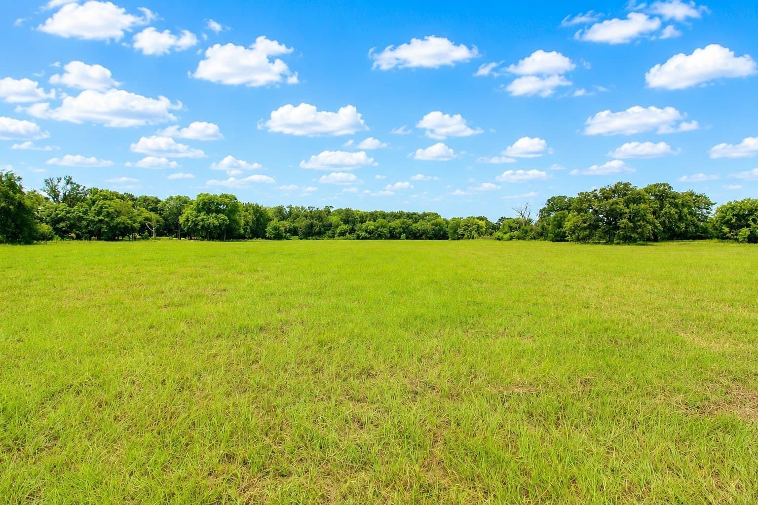 30.54 acres in Kaufman County - photo 19