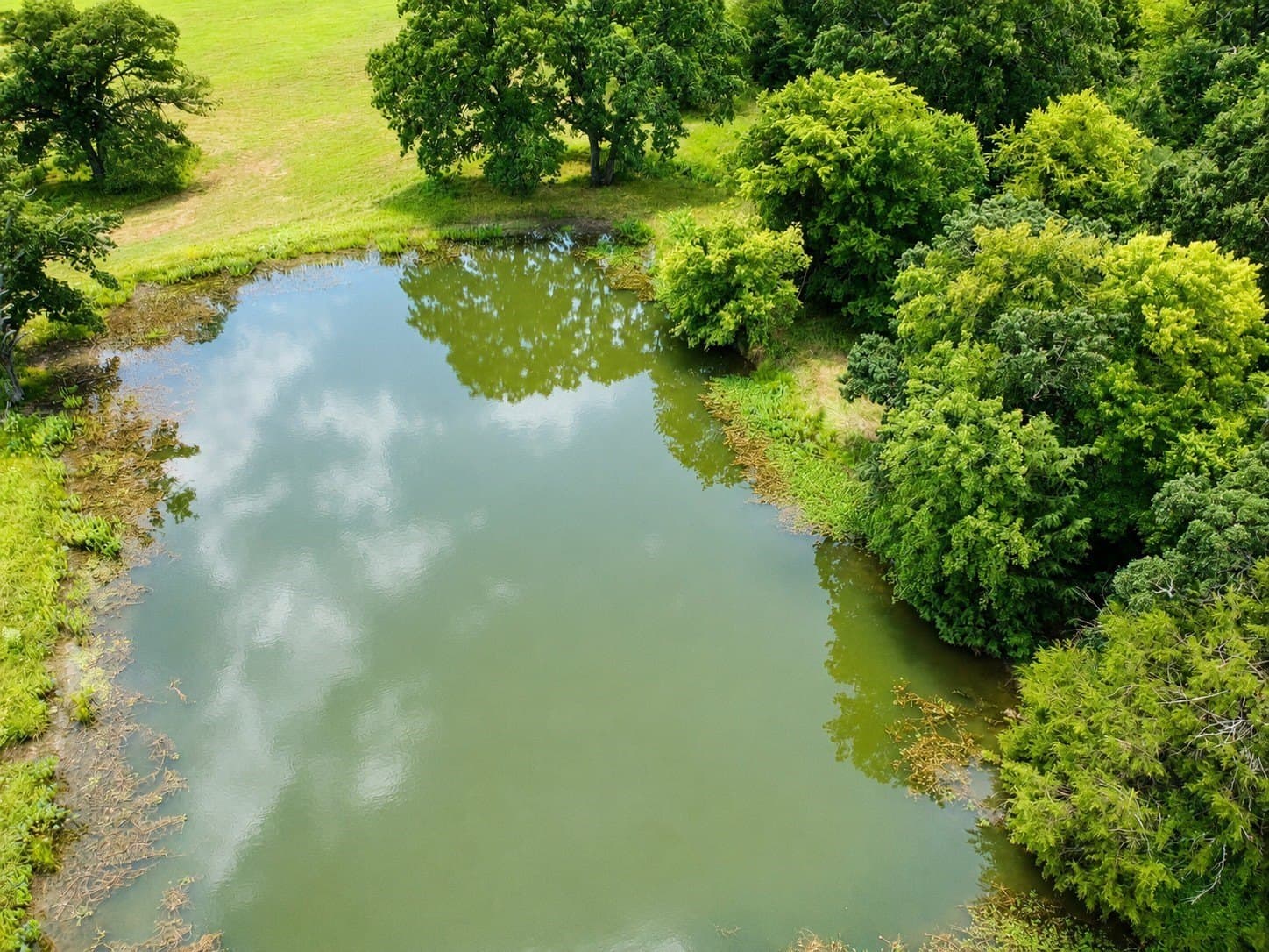 30.54 acres in Kaufman County - photo 9