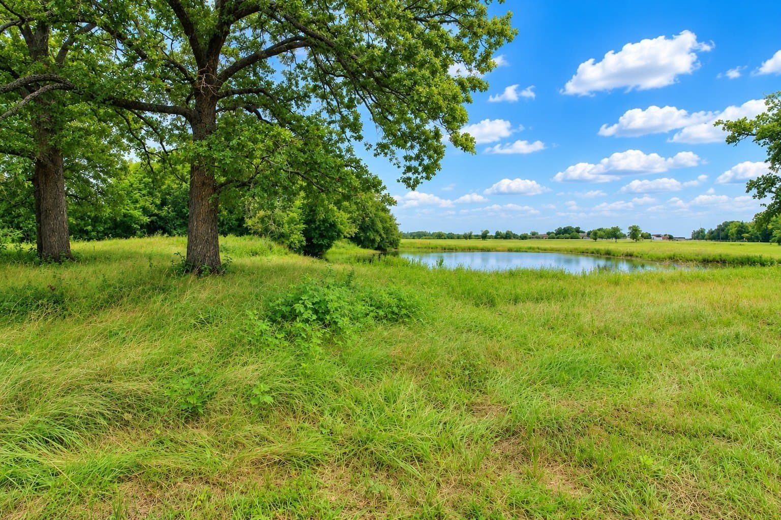 30.54 acres in Kaufman County - photo 20