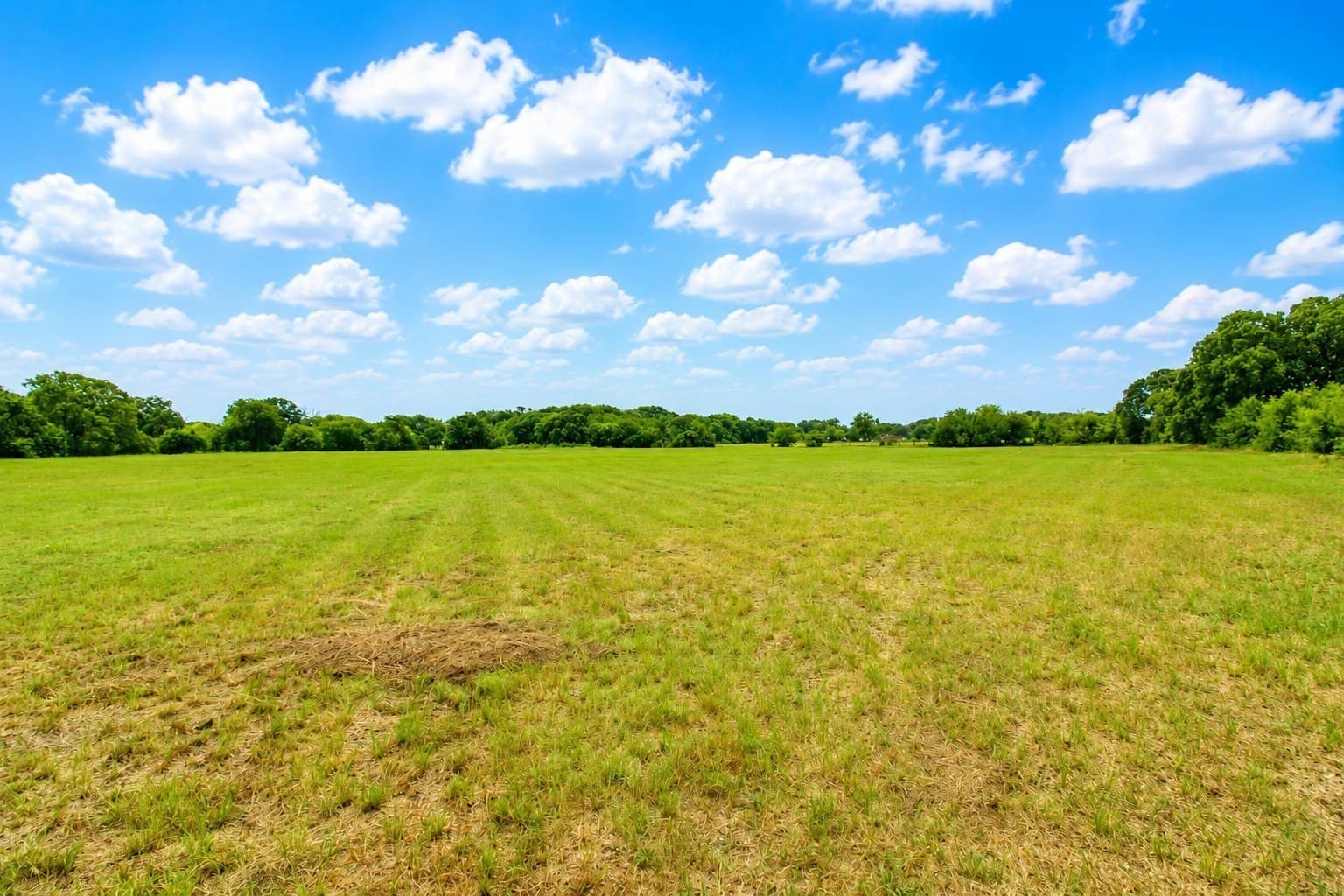 30.54 acres in Kaufman County - photo 11