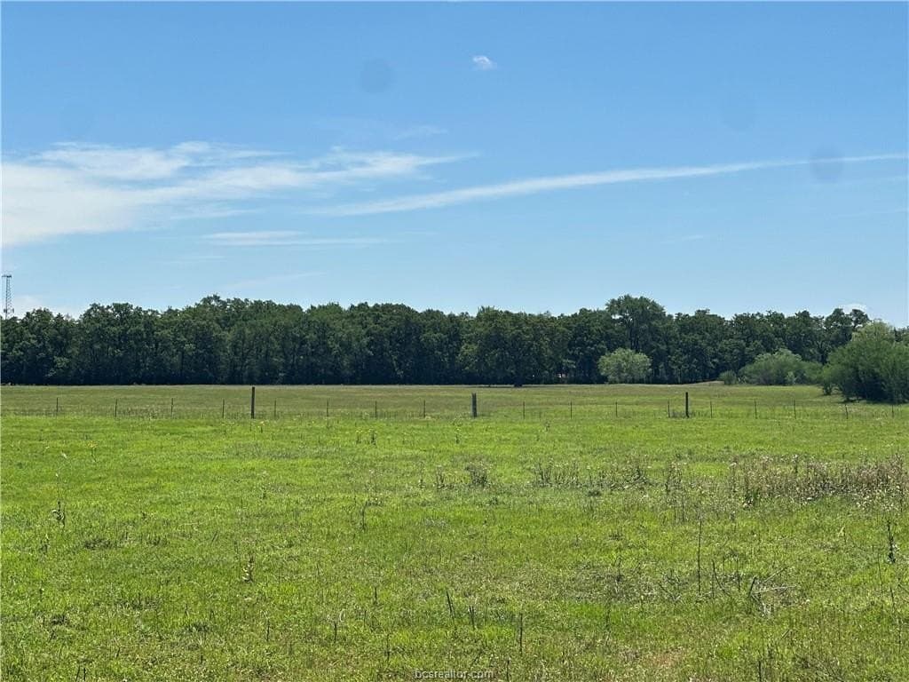 40 acres in Brazos County gallery image 4