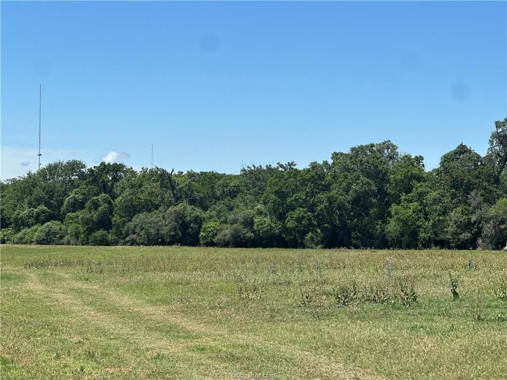 40 acres in Brazos County gallery image 2