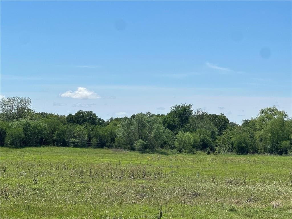 40 acres in Brazos County gallery image 3