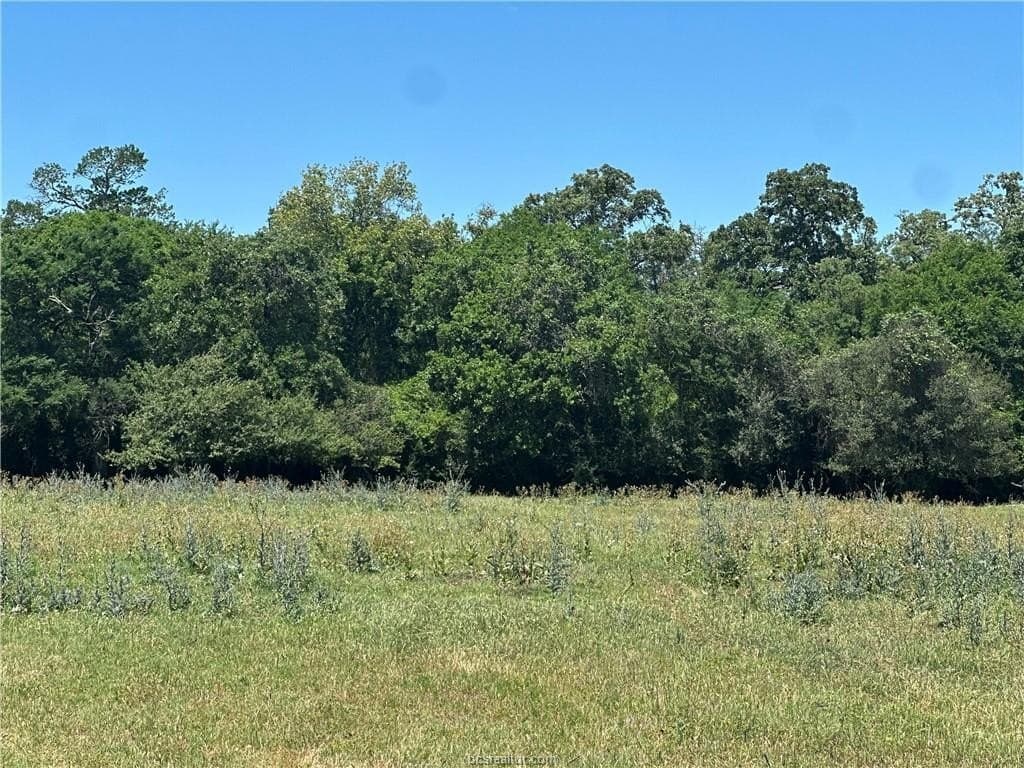 40 acres in Brazos County