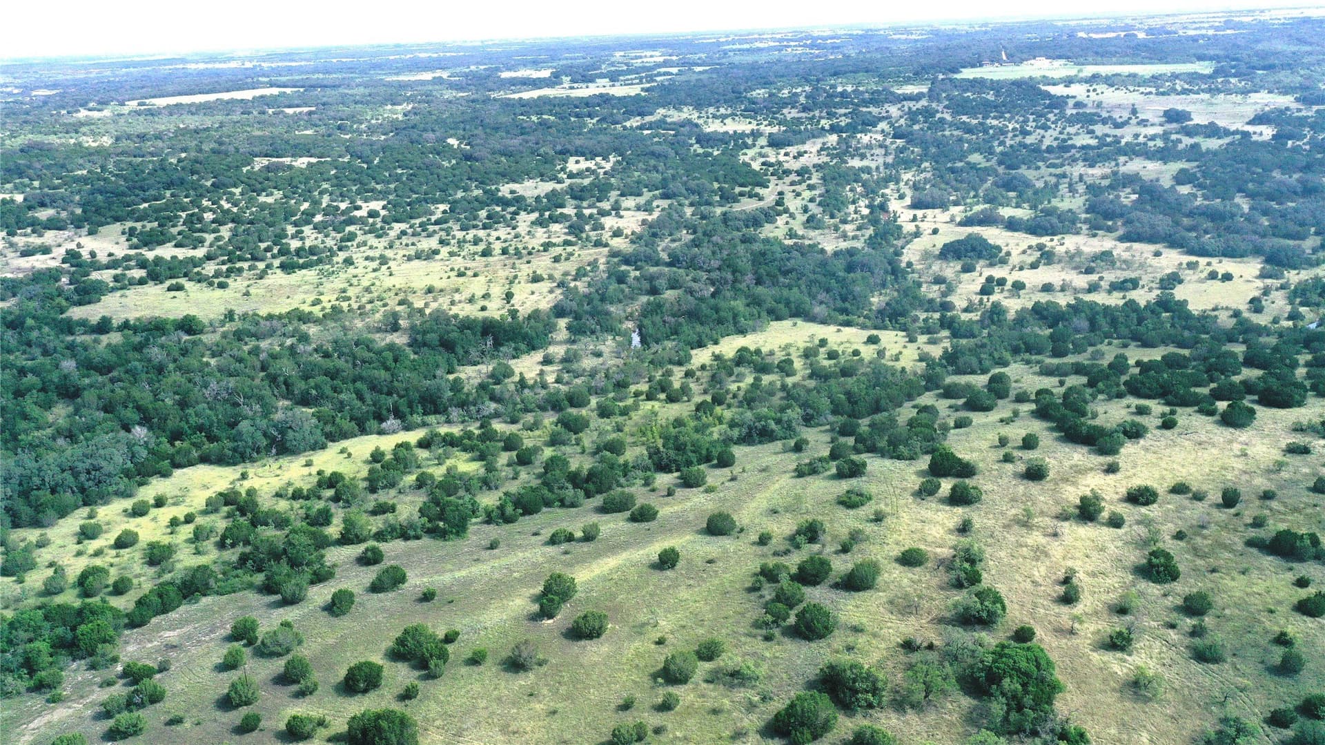 170 acres in Comanche County - photo 13