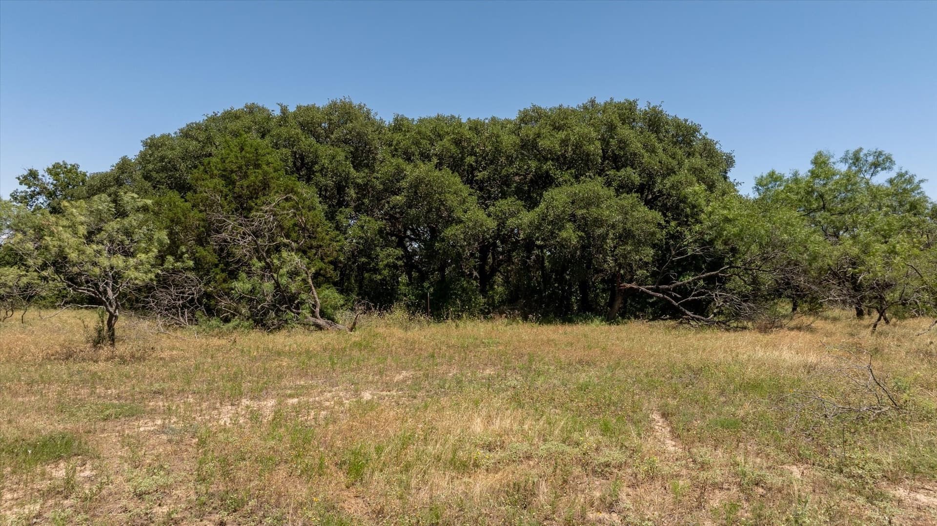 170 acres in Comanche County - photo 21