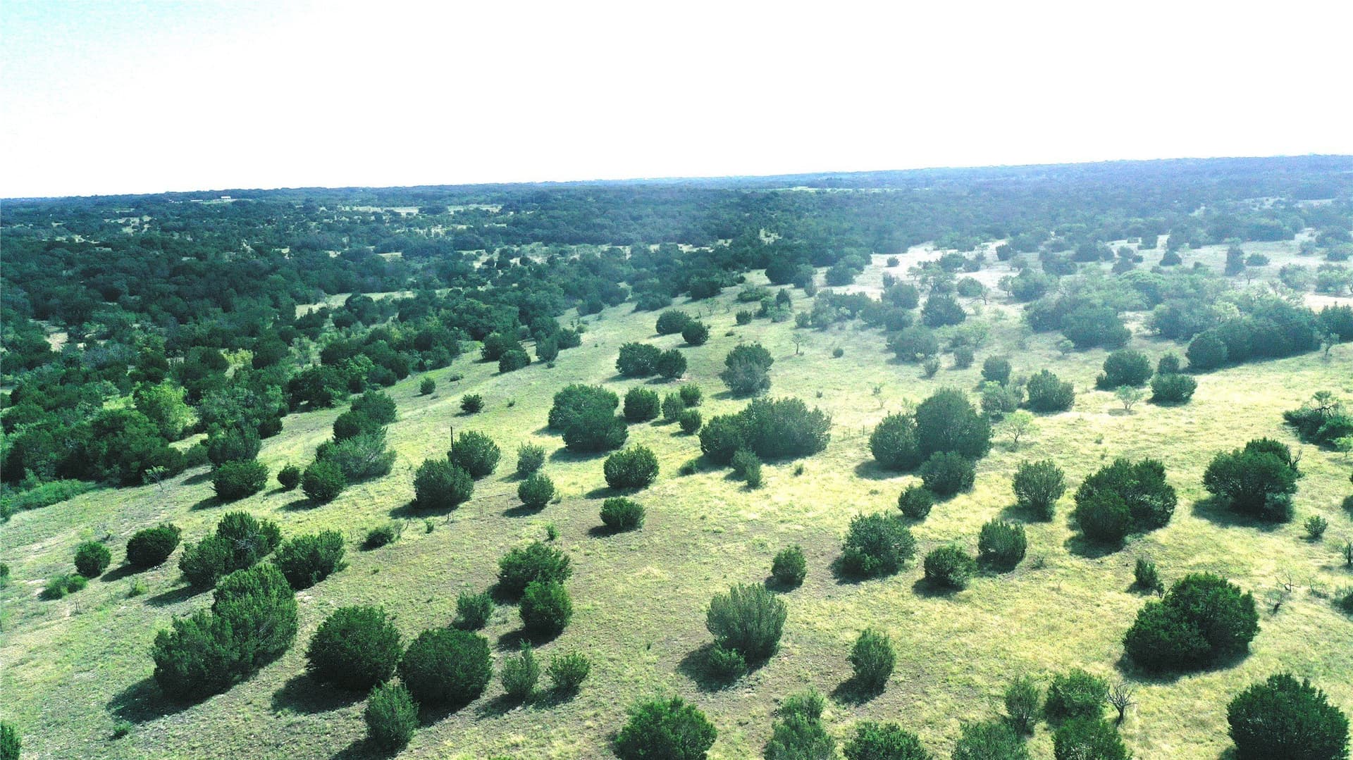 170 acres in Comanche County - photo 12
