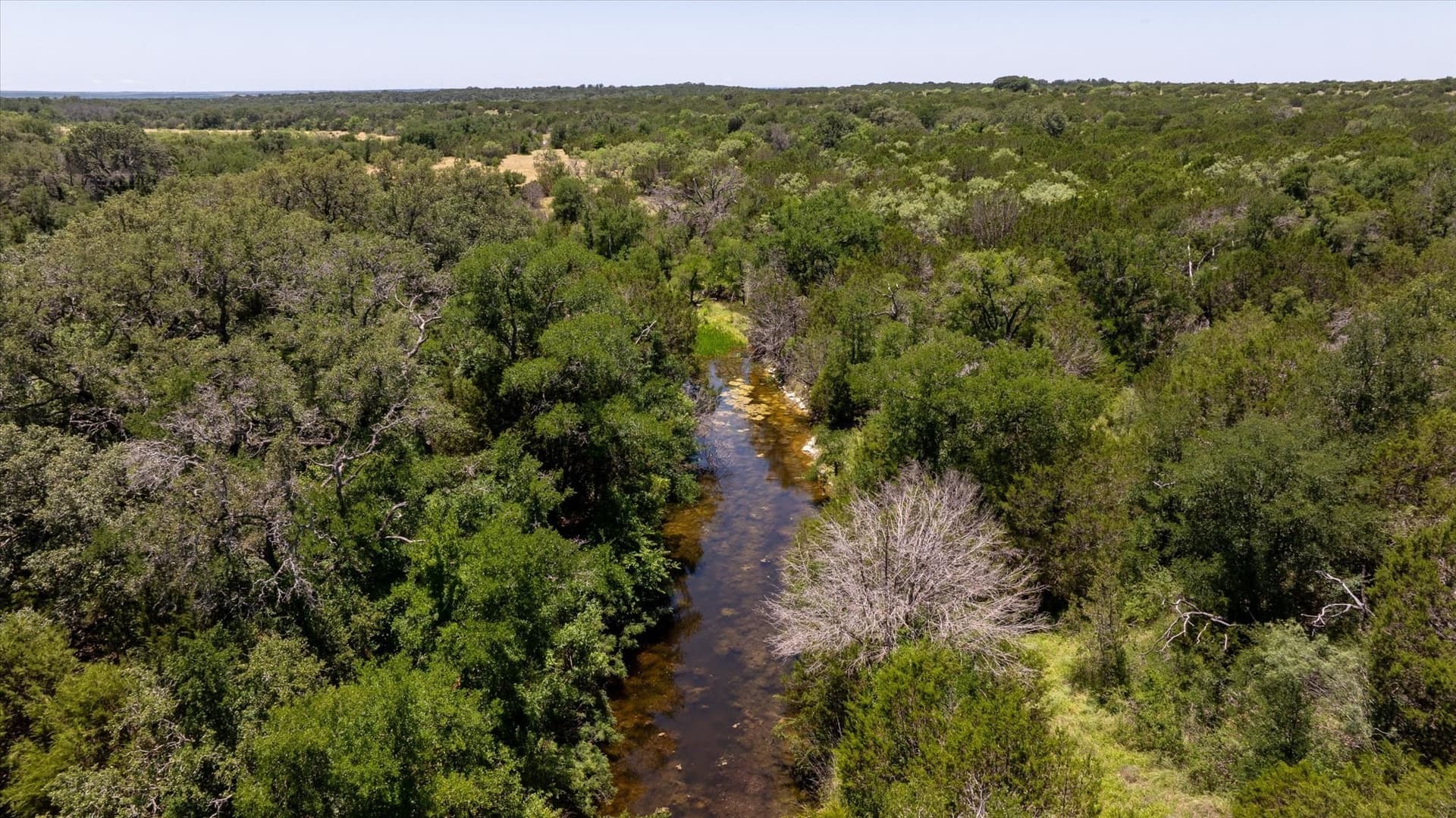 170 acres in Comanche County - photo 20
