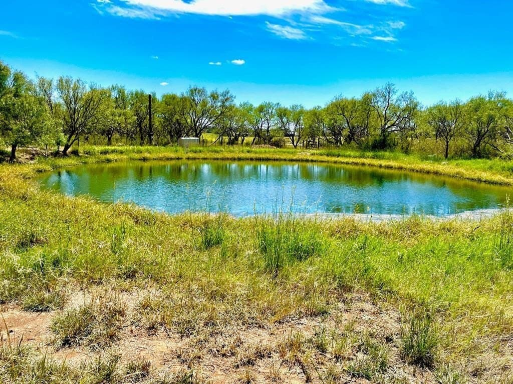 24.34 acres in Mason County - photo 2