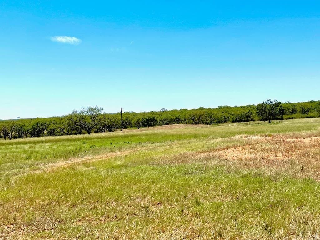 24.34 acres in Mason County - photo 3