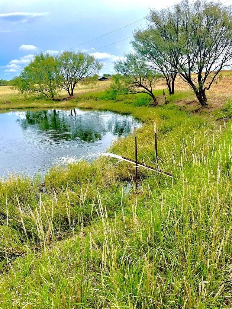 24.34 acres in Mason County
