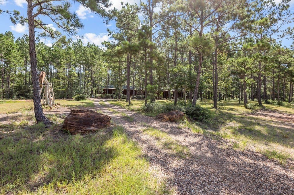 69.9 acres in Texas County - photo 11