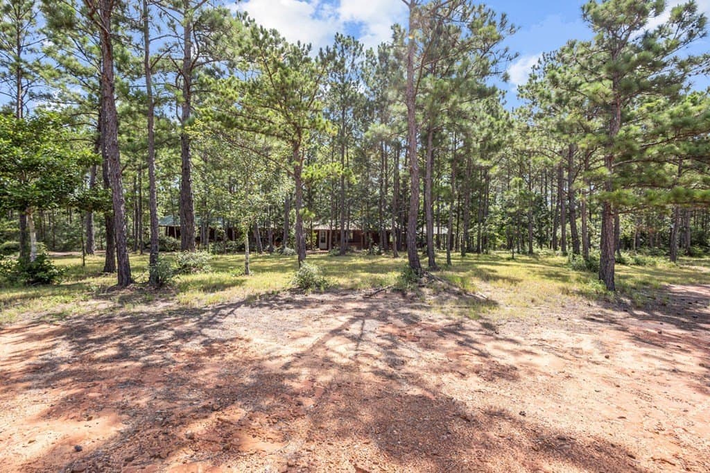 69.9 acres in Texas County - photo 9