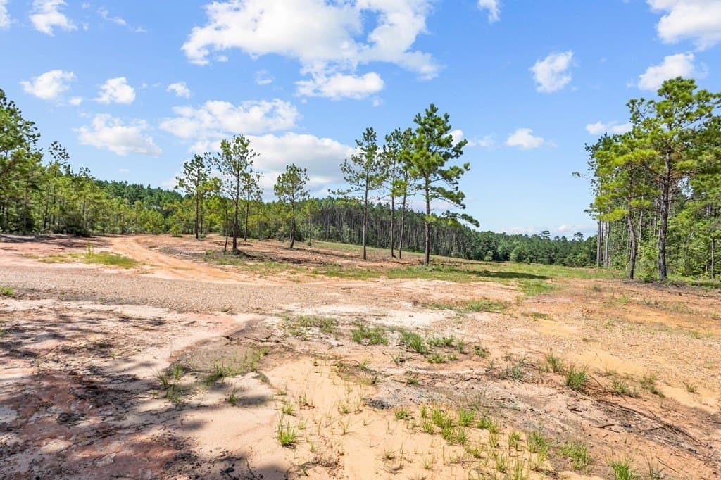 69.9 acres in Texas County - photo 91