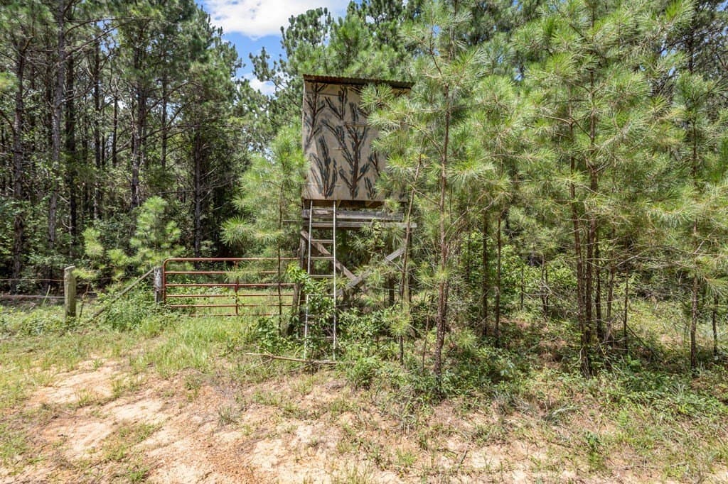 69.9 acres in Texas County - photo 102