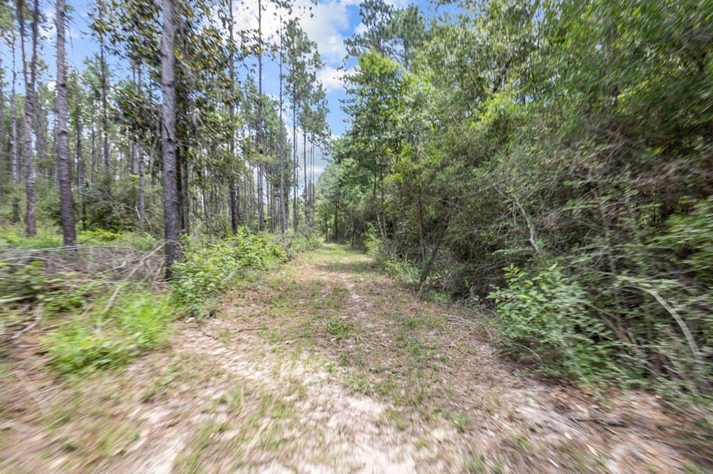 69.9 acres in Texas County - photo 100