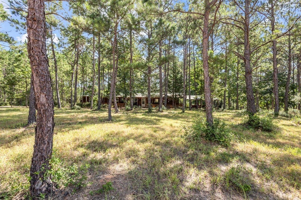 69.9 acres in Texas County - photo 8
