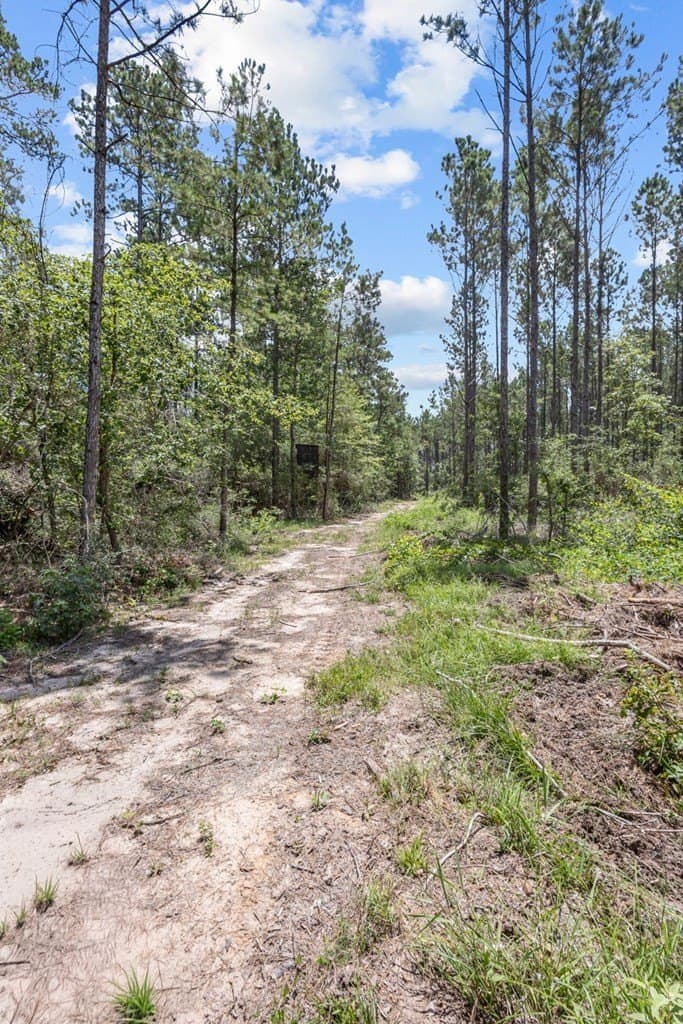 69.9 acres in Texas County - photo 103