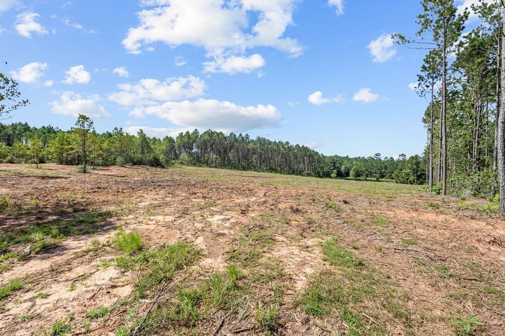 69.9 acres in Texas County - photo 92
