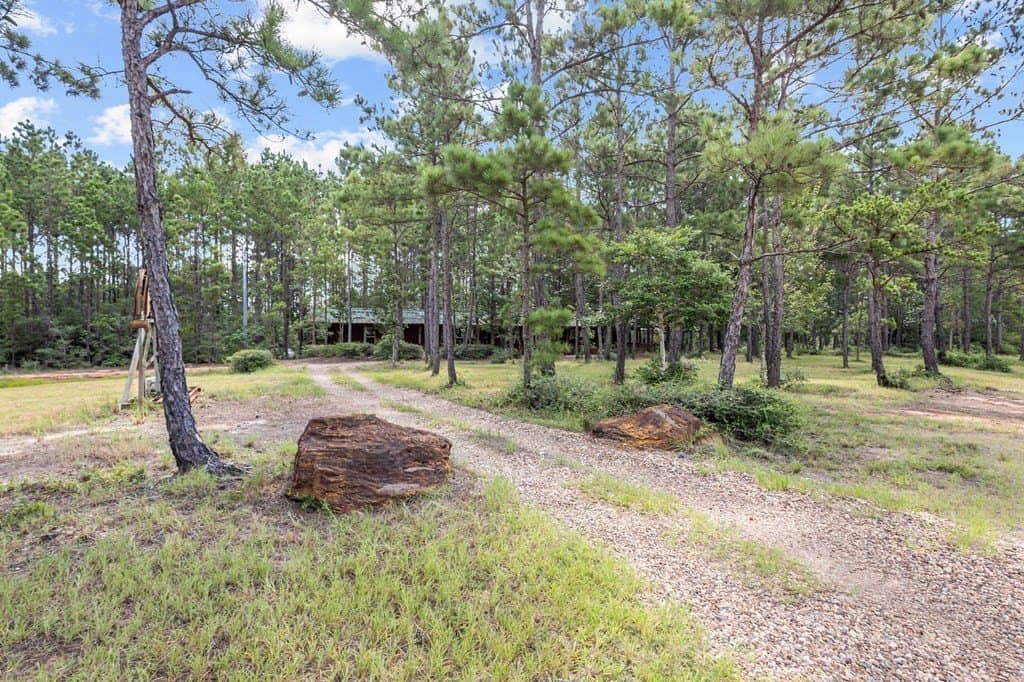 69.9 acres in Texas County - photo 10