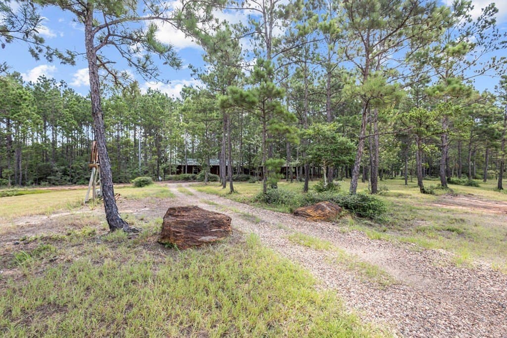 69.9 acres in Texas County gallery image 4