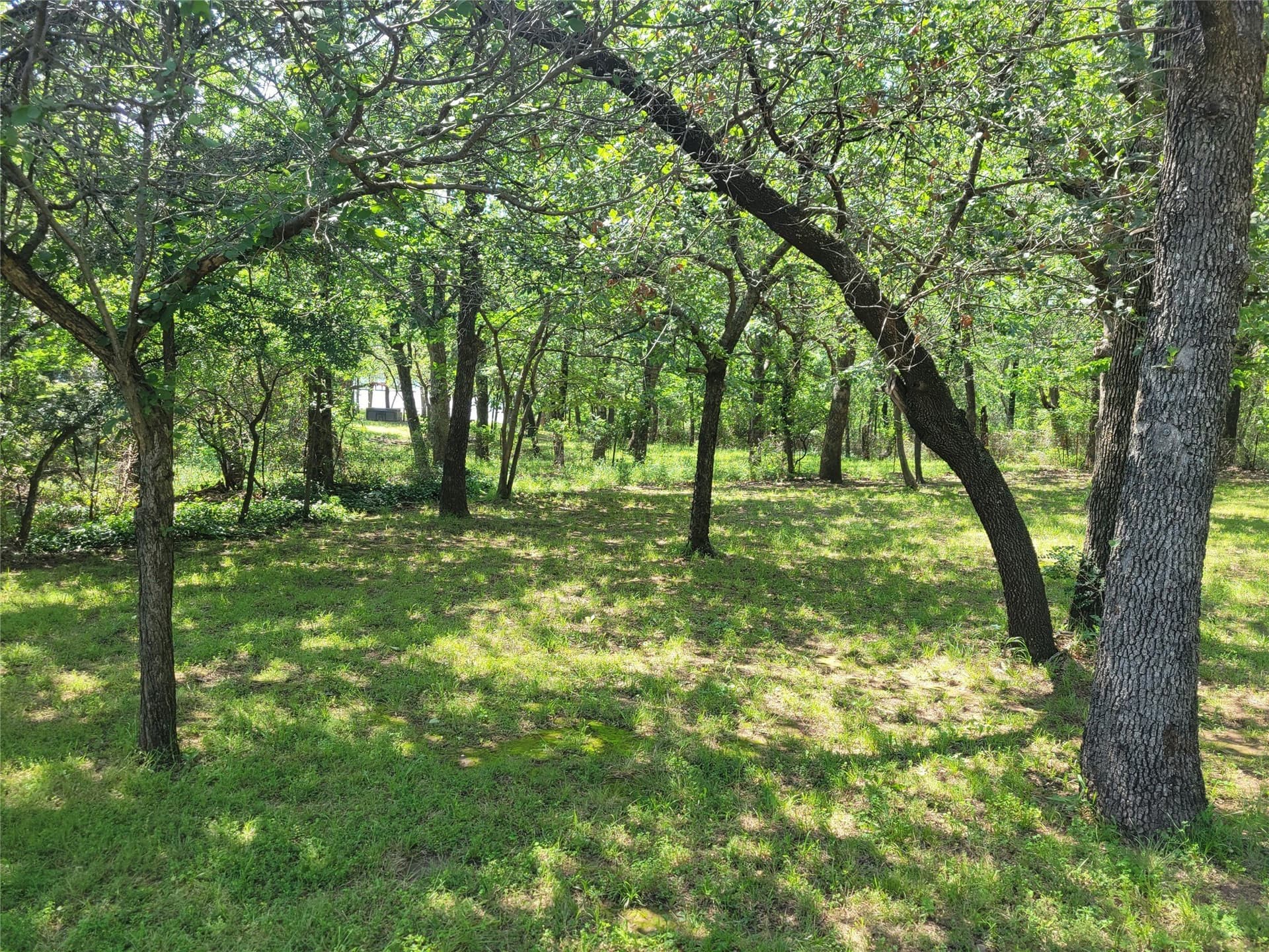 1.5 acres in Montague County featured view