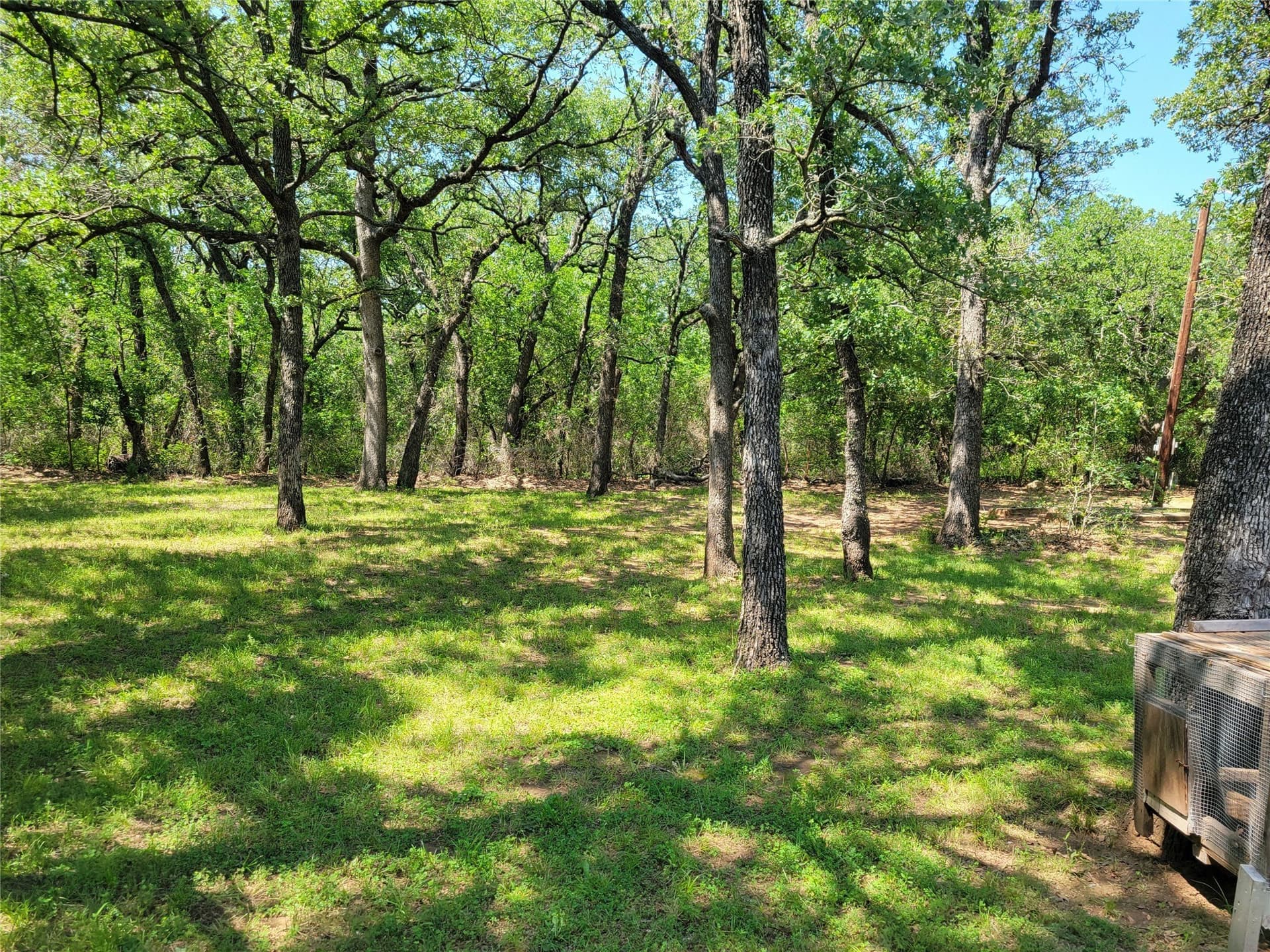 1.5 acres in Montague County - photo 6