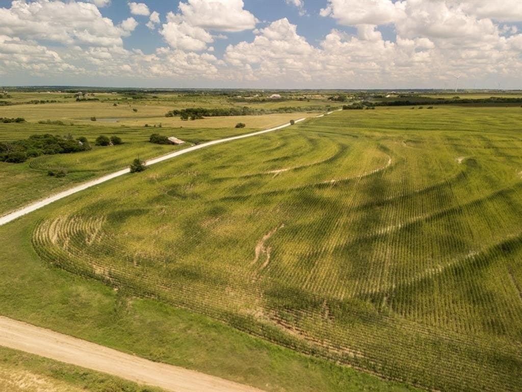 11 acres in Hill County gallery image 2