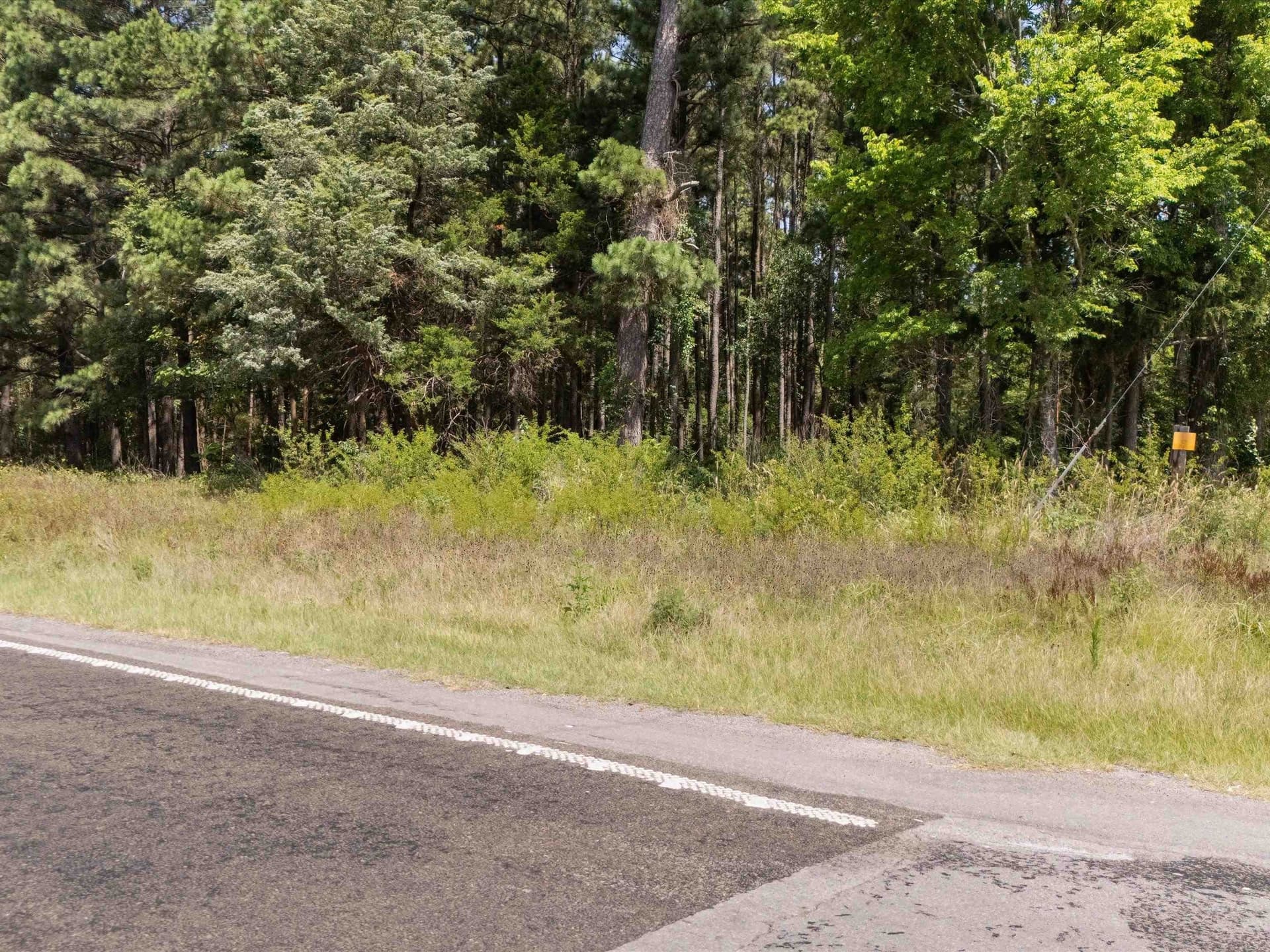 5.5 acres in Upshur County - photo 7