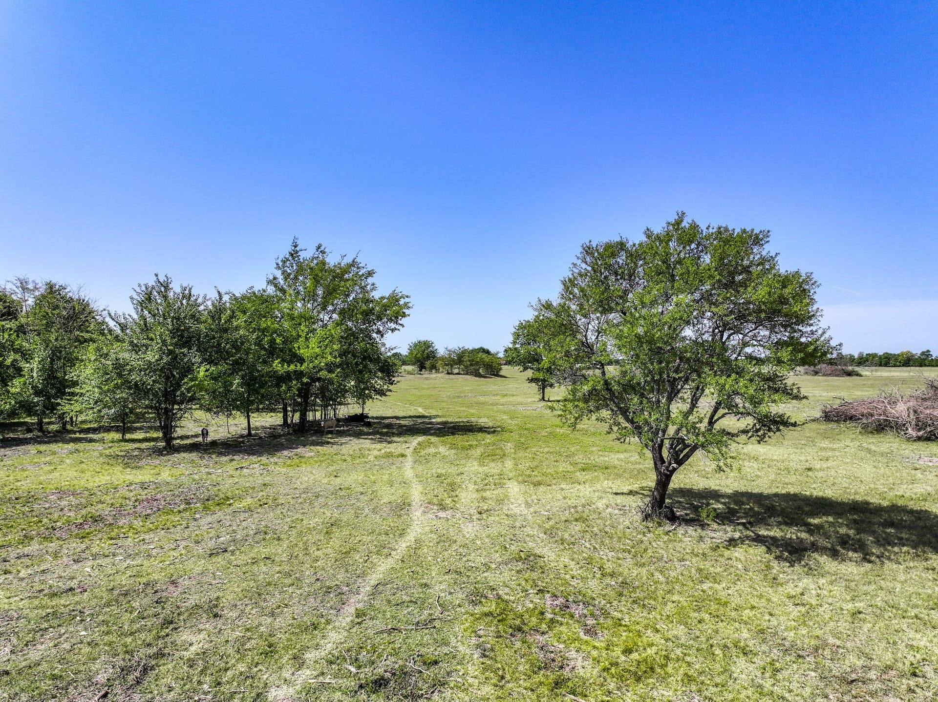 100 acres in Hopkins County - photo 19