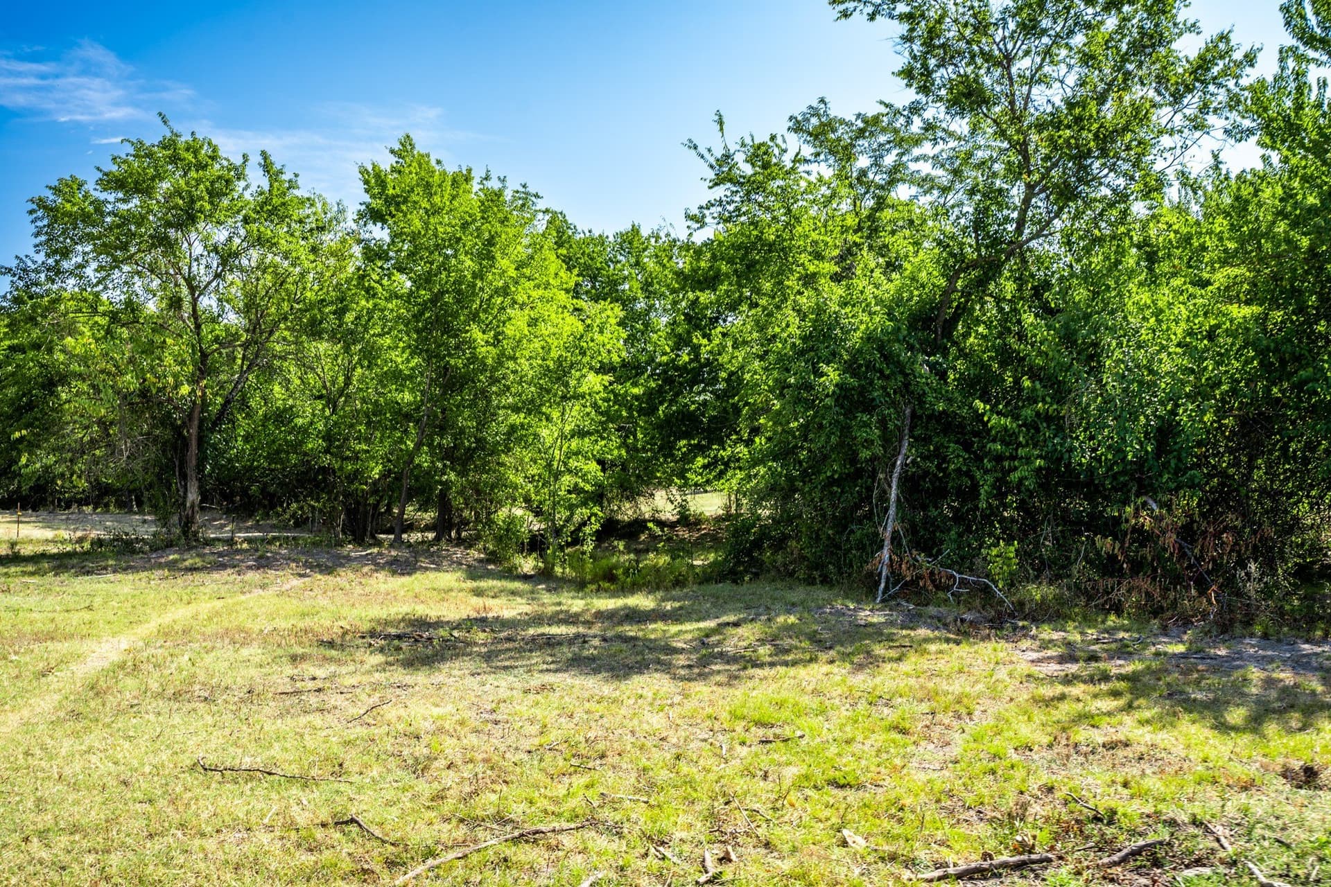 100 acres in Hopkins County - photo 35