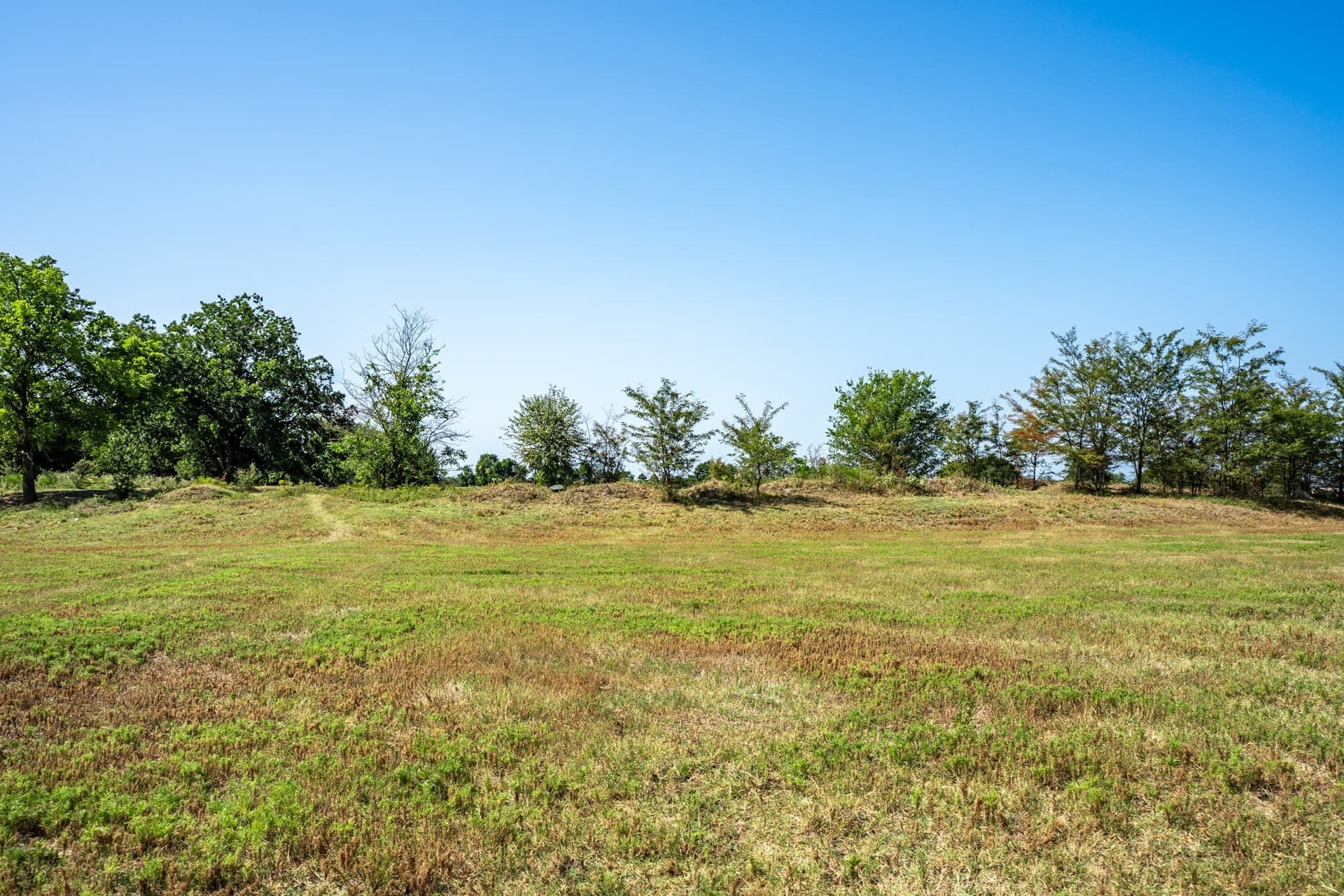 100 acres in Hopkins County - photo 31