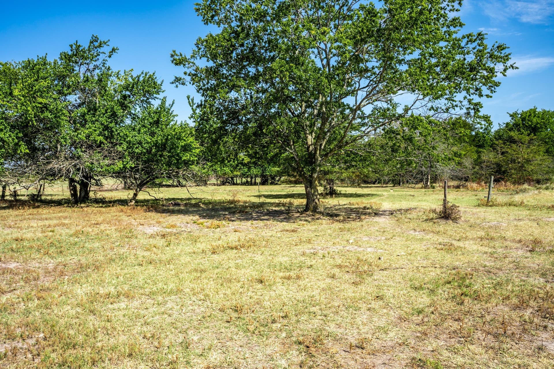 100 acres in Hopkins County - photo 33