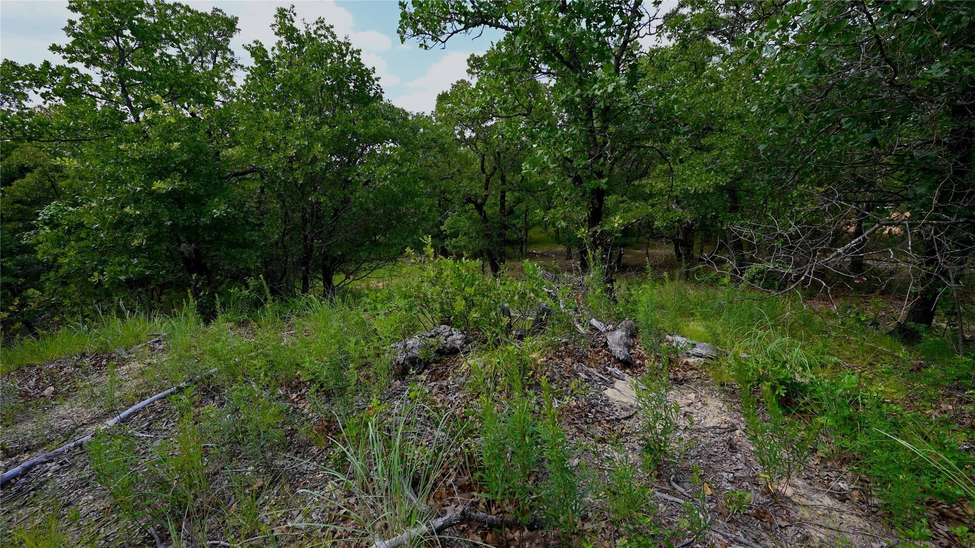 1.16 acres in Montague County - photo 5