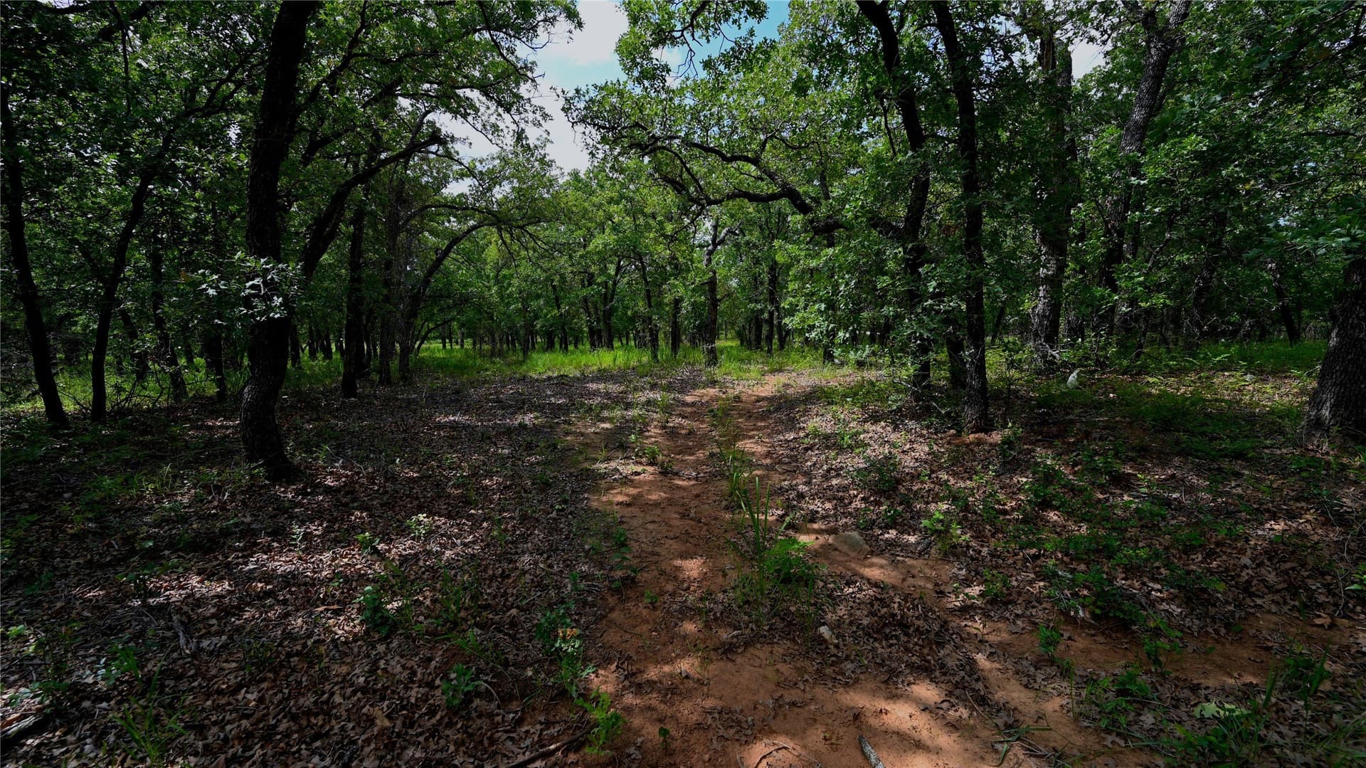 1.16 acres in Montague County - photo 11