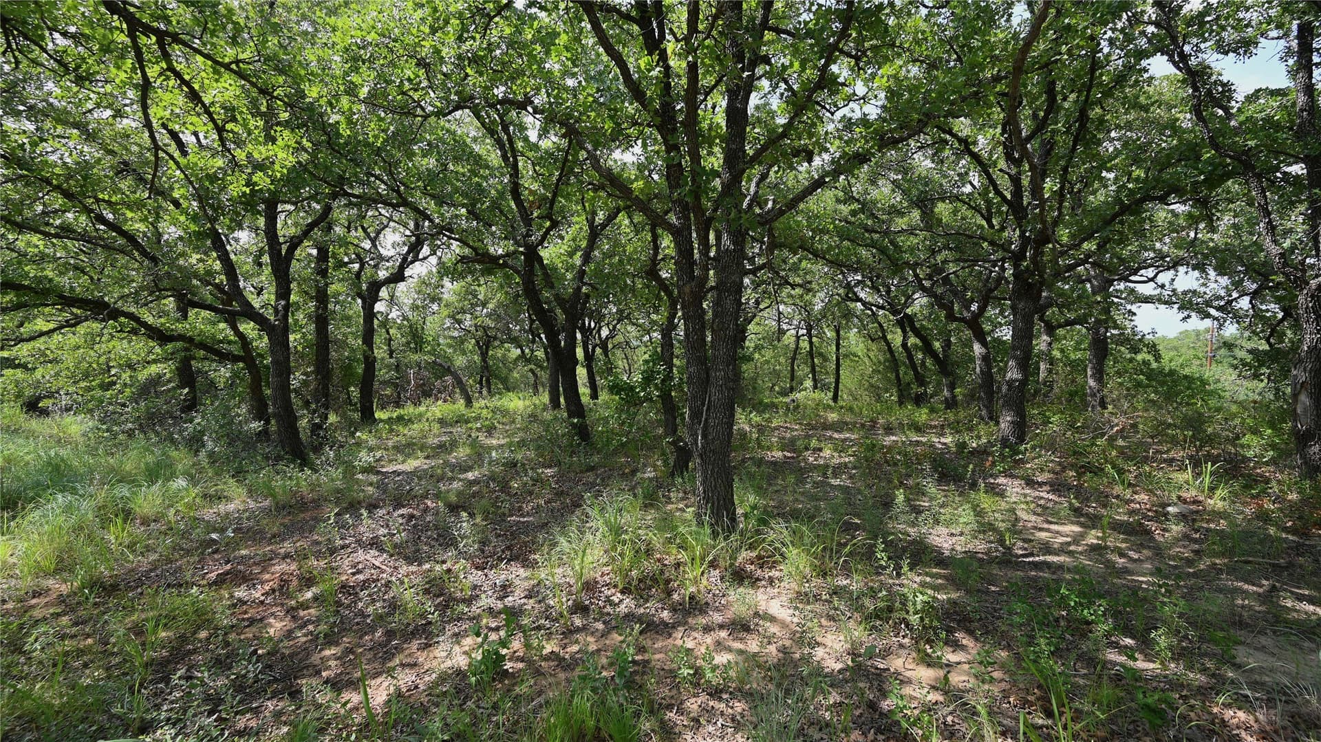 1.16 acres in Montague County - photo 12