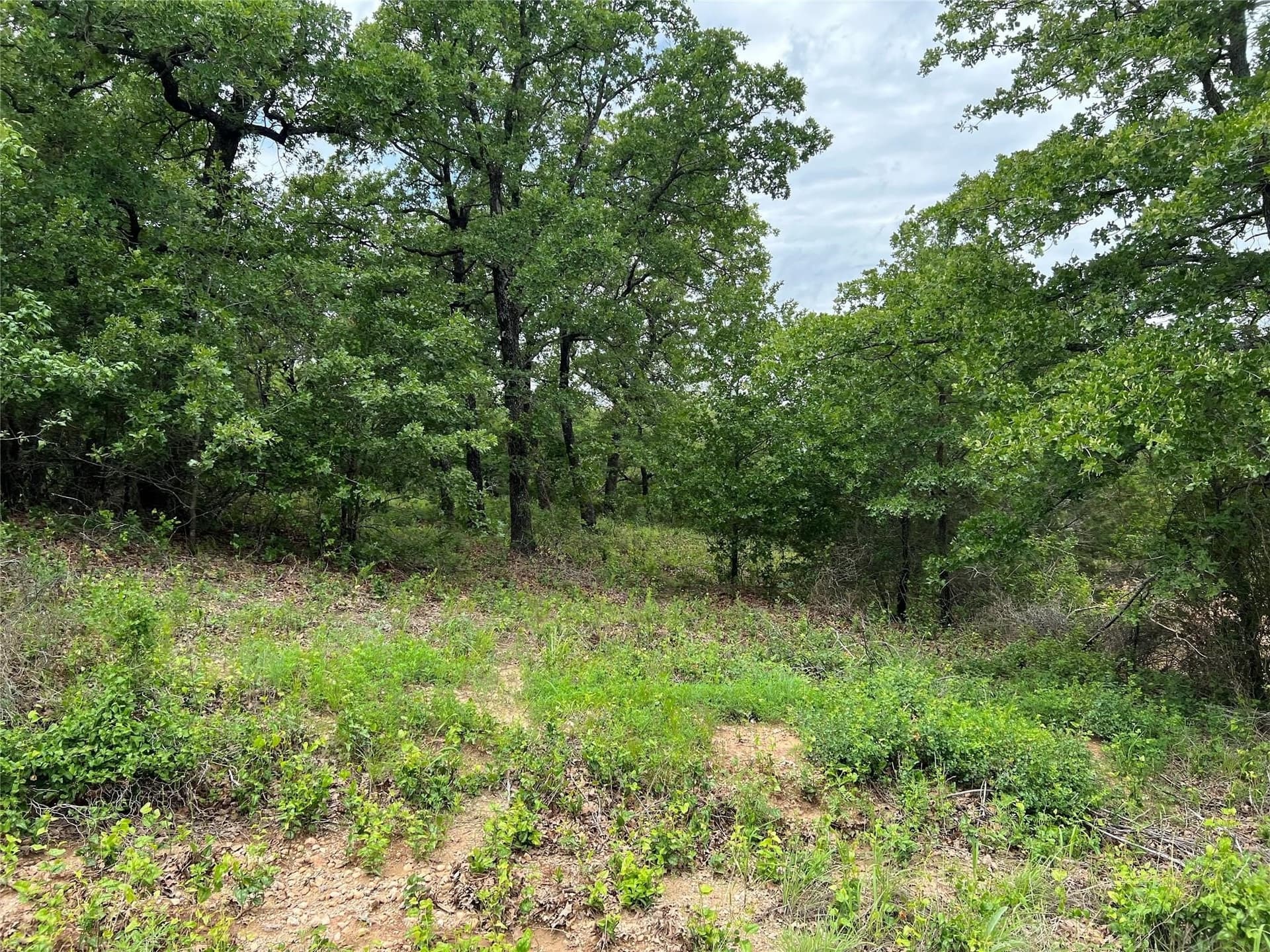 1.16 acres in Montague County - photo 26