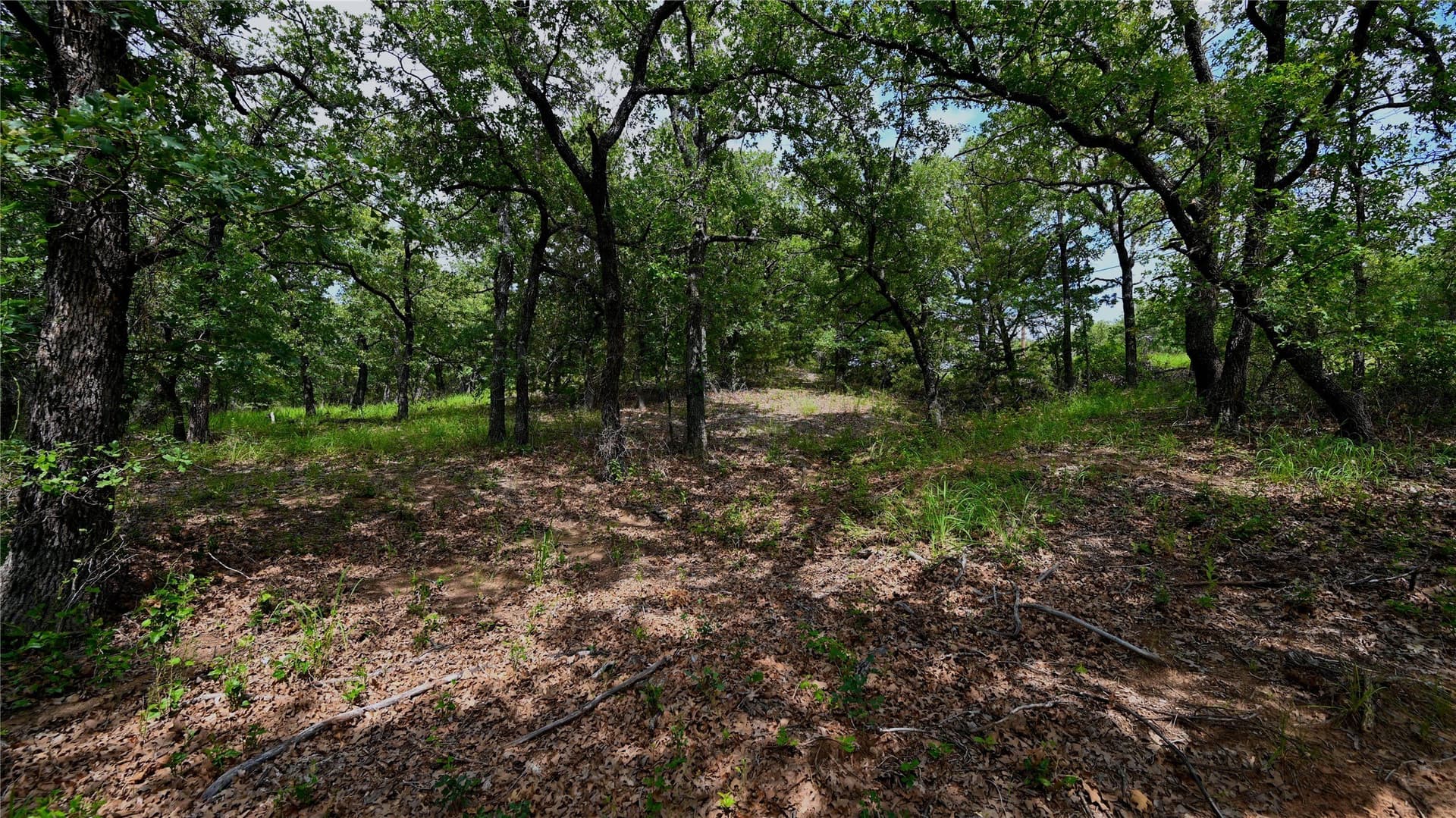 1.16 acres in Montague County - photo 22