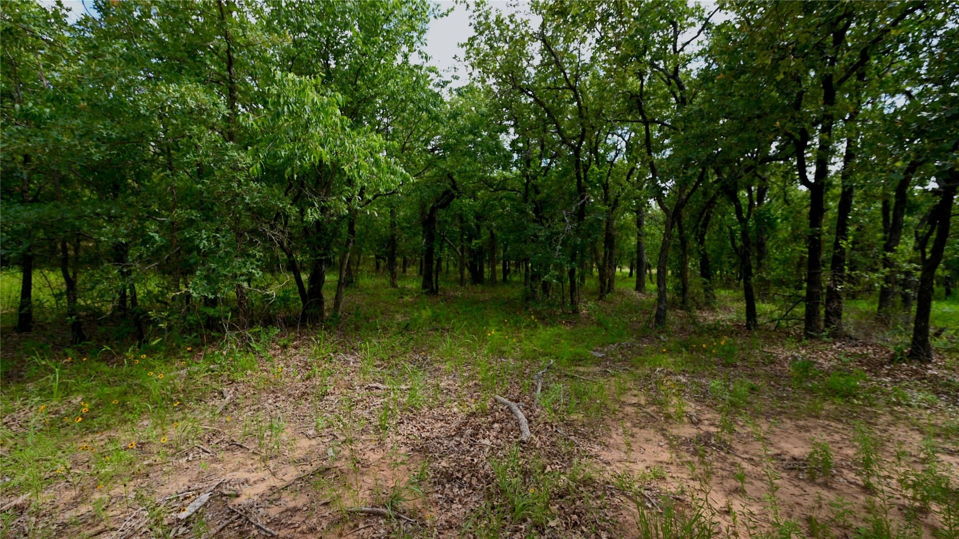 1.16 acres in Montague County - photo 25