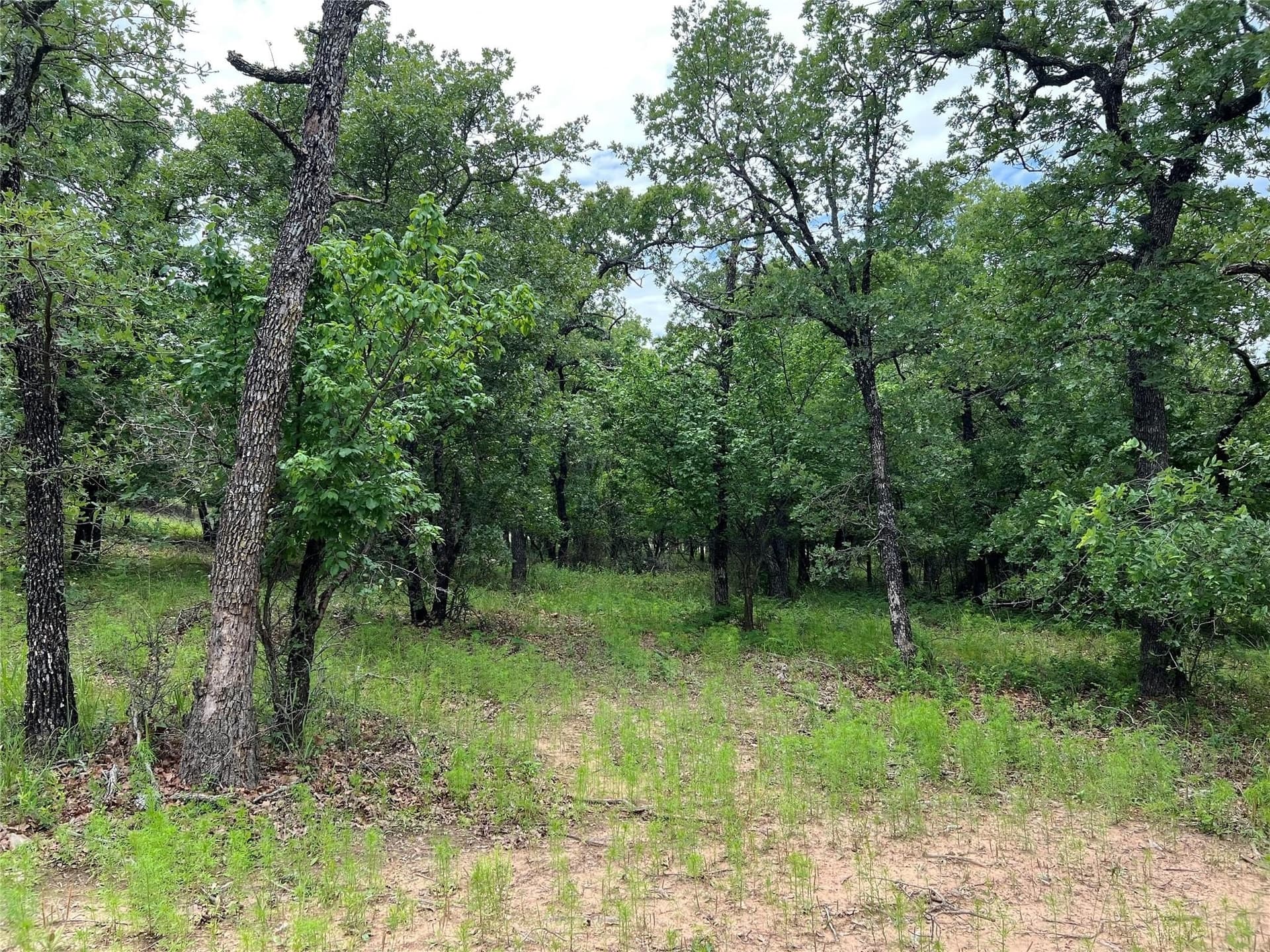 1.16 acres in Montague County - photo 27