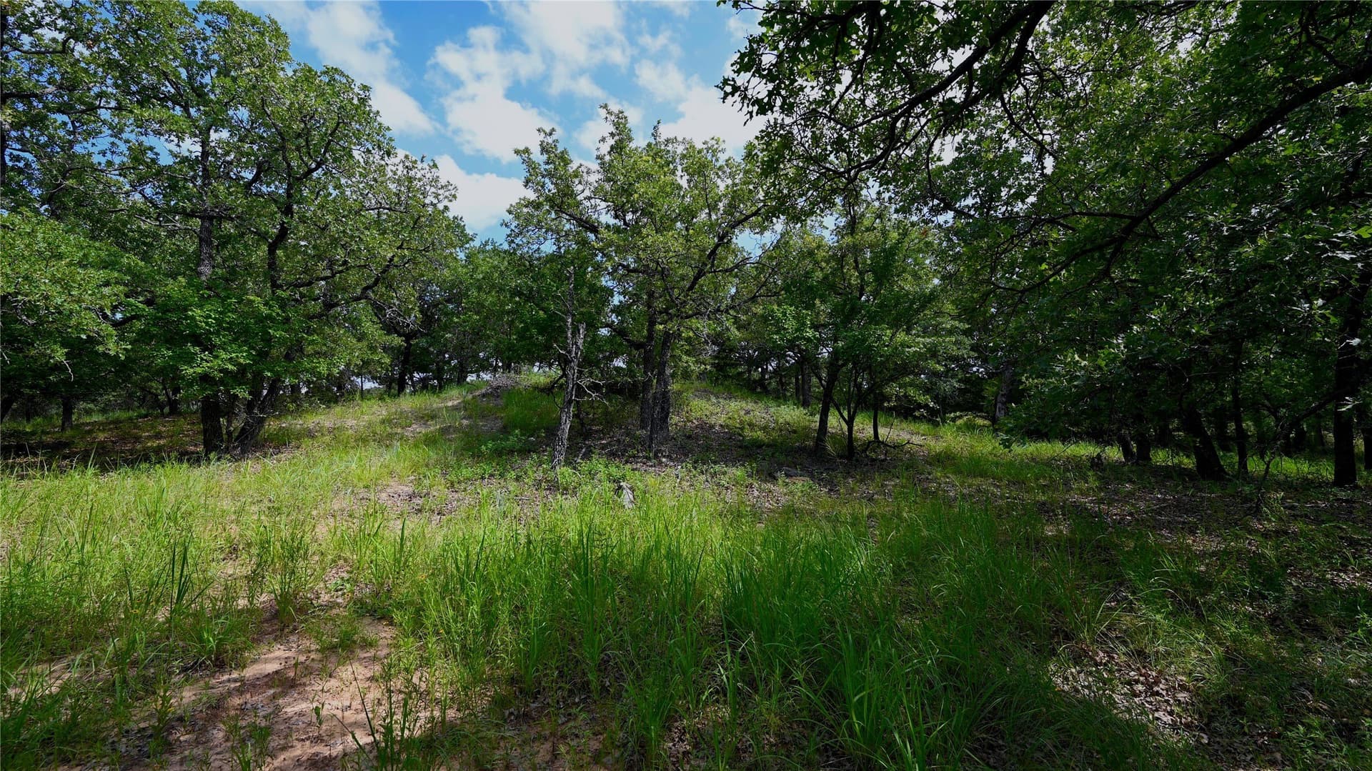 1.16 acres in Montague County - photo 4