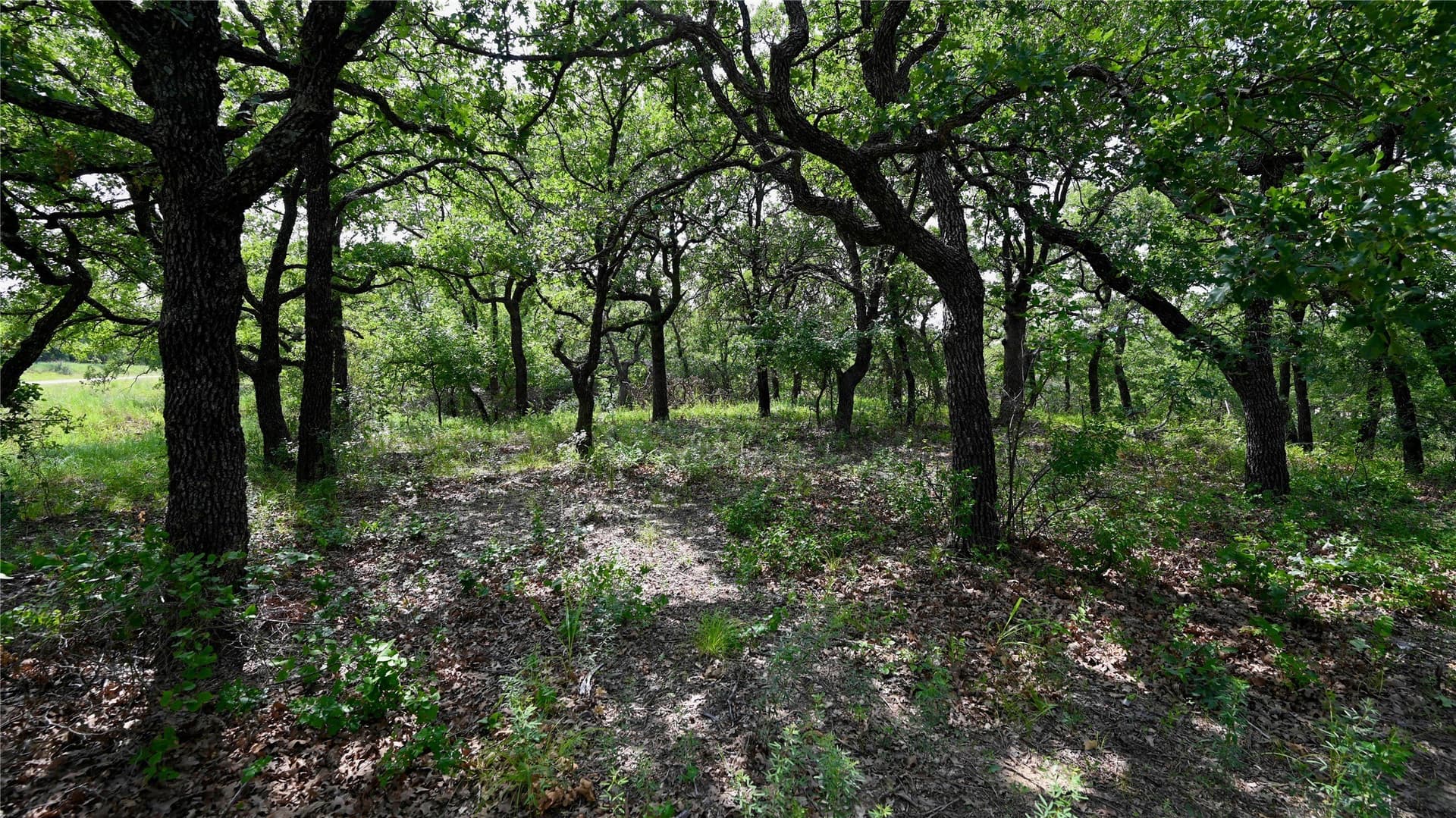 1.16 acres in Montague County - photo 3