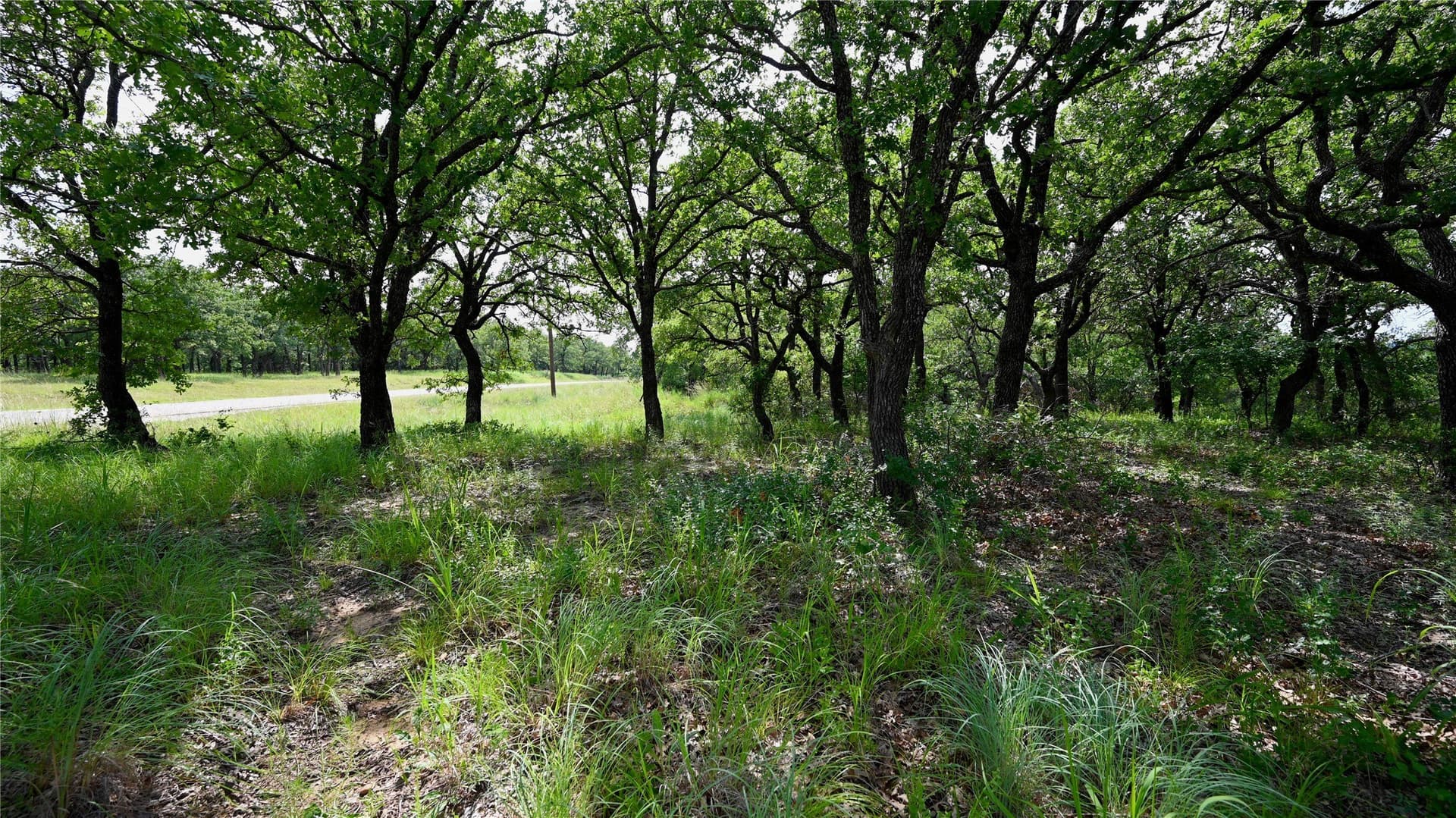 1.16 acres in Montague County - photo 8