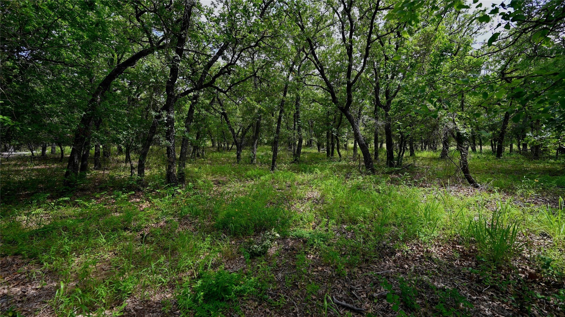 1.16 acres in Montague County - photo 13